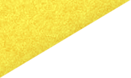 Detalhe